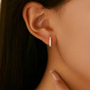 Small D Color Moissanite Earrings in 925 Silver for Women