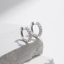 Small D Color Moissanite Earrings in 925 Silver for Women
